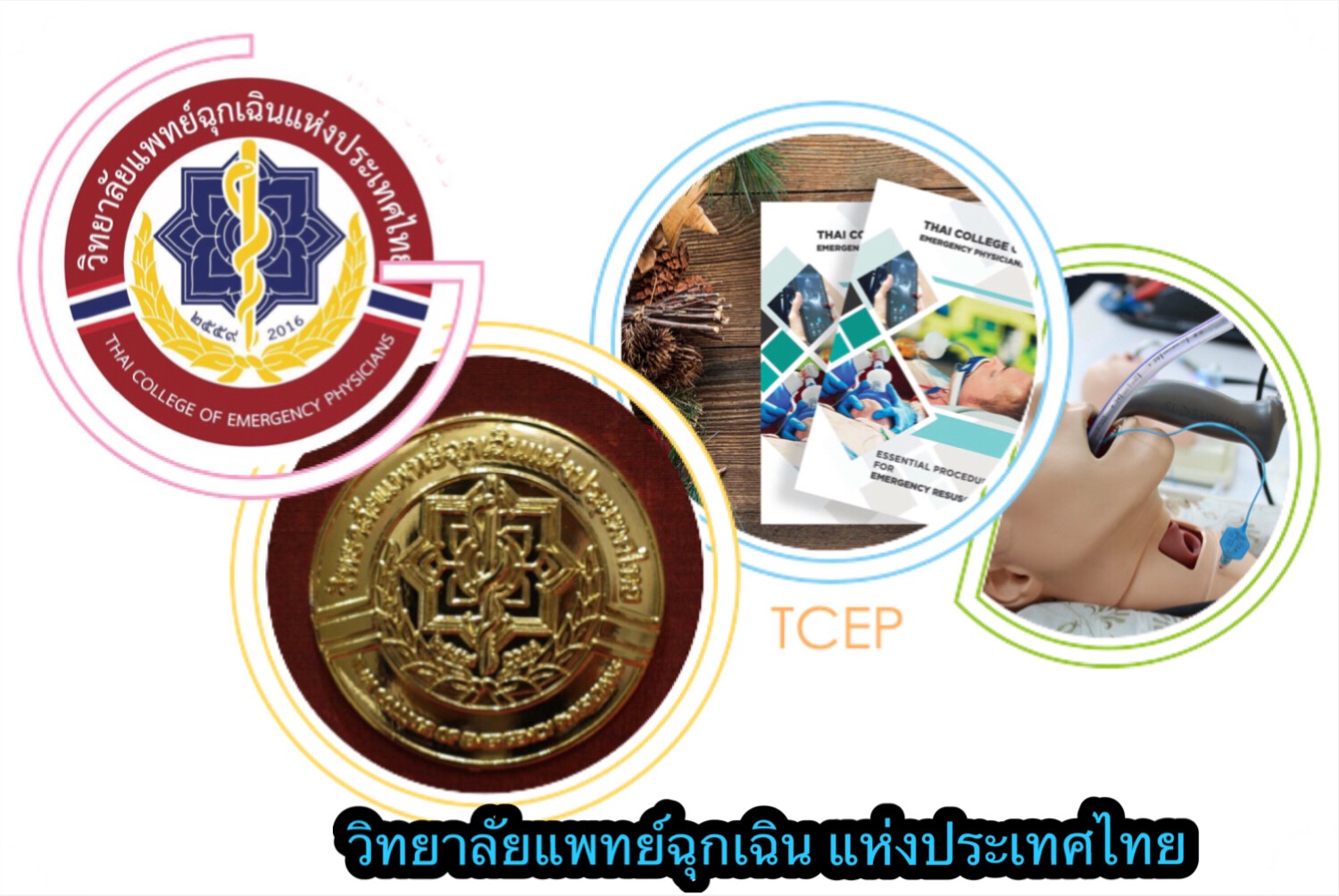 Thai College of Emergency Physicians